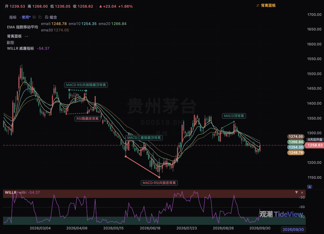观潮当前图表中的均线与背离观察示例